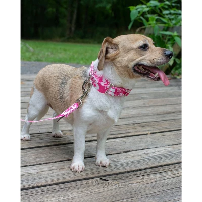 Country Brook Petz - Pink Hawaiian Martingale Dog Collar 1 Country Brook Petz - Pink Hawaiian Martingale Dog Collar