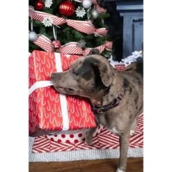 Country Brook Petz® Martingale Collar And Leash - Plaid And Argyle Collection