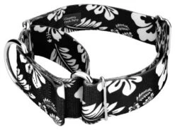 Country Brook Petz 1 1/2 Inch Black Hawaiian Martingale Dog Collar