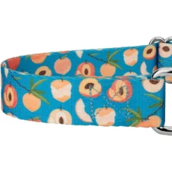 Country Brook Petz Peaches Martingale Dog Collar 10 Country Brook Petz Peaches Martingale Dog Collar -Country Brook Petz Store GUEST 689a4358 c877 467b bc78 6ce86a638319