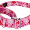 Country Brook Design Puppy Love Martingale Dog Collar 9 Country Brook Design Puppy Love Martingale Dog Collar -Country Brook Petz Store GUEST 6a547381 c8b9 448c ab98 04000a1e6c6c