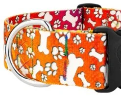 Country Brook Petz 1 1/2 Inch Deluxe Trippy Doggo Dog Collar 7 Country Brook Petz 1 1/2 Inch Deluxe Trippy Doggo Dog Collar -Country Brook Petz Store GUEST 6b2117d1 8b6f 4663 80d8 534bc1a67283