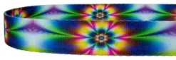 Country Brook Design® 1 Inch Tie Dye Flowers Dog Leash - 6 Foot 5 Country Brook Design® 1 Inch Tie Dye Flowers Dog Leash - 6 Foot -Country Brook Petz Store GUEST 6c0d8f76 4fce 454a b56a 1d9d7d00d246