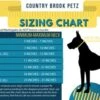 Country Brook Petz Just Ducky Martingale Dog Collar 10 Country Brook Petz Just Ducky Martingale Dog Collar -Country Brook Petz Store GUEST 6d1a6f34 10c0 4d49 a574 ab55988d2cfa 1