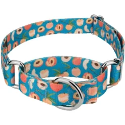 Country Brook Petz Peaches Martingale Dog Collar 15 Country Brook Petz Peaches Martingale Dog Collar -Country Brook Petz Store GUEST 6ebac3a8 9157 47d6 bd6c d73fec66eca3