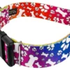 Country Brook Petz 1 1/2 Inch Deluxe Trippy Doggo Dog Collar 10 Country Brook Petz 1 1/2 Inch Deluxe Trippy Doggo Dog Collar -Country Brook Petz Store GUEST 7164f746 324c 4e29 a777 655b80031d69