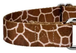 Country Brook Petz Giraffe Martingale Dog Collar -Country Brook Petz Store GUEST 75241b84 6785 44c9 9d4a c803f5ab74f4