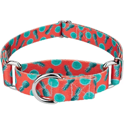 Country Brook Petz Tropical Tango Martingale Dog Collar 4 Country Brook Petz Tropical Tango Martingale Dog Collar - Image 4