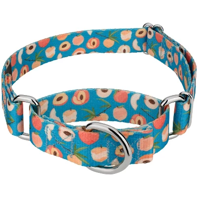 Country Brook Petz Peaches Martingale Dog Collar 4 Country Brook Petz Peaches Martingale Dog Collar - Image 4