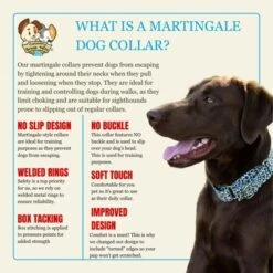 Country Brook Petz HossFit Jr Wide Martingale Dog Collar - Animal Print Collection -Country Brook Petz Store GUEST 790c6c8d 20d3 4f92 886f f3e33753801f