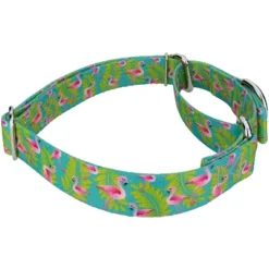 Country Brook Design - Flamingos Martingale Dog Collar -Country Brook Petz Store GUEST 7c2aab68 c65b 494c bfd3 bbd00382e2c1