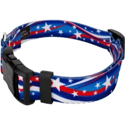 Country Brook Petz Star Spangled Deluxe Dog Collar And Leash
