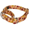 Country Brook Petz Fall Foliage Martingale Dog Collar And Leash 9 Country Brook Petz Fall Foliage Martingale Dog Collar And Leash -Country Brook Petz Store GUEST 7d13911a 2fc2 4c59 b7ca 9c9f6847c8ad