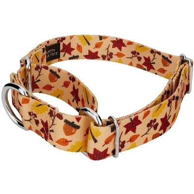 Country Brook Petz Fall Foliage Martingale Dog Collar And Leash 1 Country Brook Petz Fall Foliage Martingale Dog Collar And Leash