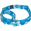 Country Brook Design - Blue Hawaiian Martingale Dog Collar 15 Country Brook Design - Blue Hawaiian Martingale Dog Collar -Country Brook Petz Store GUEST 7d6f9201 9295 4a5d 8c9e 8543f182210e