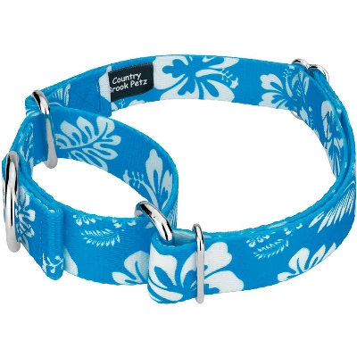 Country Brook Design - Blue Hawaiian Martingale Dog Collar 1 Country Brook Design - Blue Hawaiian Martingale Dog Collar
