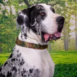 Country Brook Petz Southern Forest Camo Martingale Dog Collar -Country Brook Petz Store GUEST 7dbd2fc5 3e25 4471 a35f 0851544a1538