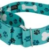 Country Brook Petz 1 1/2 Inch Oh My Dog Martingale Dog Collar 14 Country Brook Petz 1 1/2 Inch Oh My Dog Martingale Dog Collar -Country Brook Petz Store GUEST 82fc75c0 5b8d 4cae 8318 6ceedb27911b