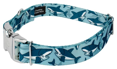 Country Brook Petz Premium Sharks Dog Collar 2 Country Brook Petz Premium Sharks Dog Collar - Image 2