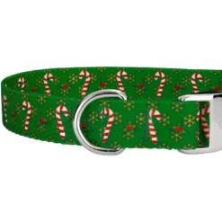 County Brook Petz Premium Dog Collar And Leash - Christmas Collection 11 County Brook Petz Premium Dog Collar And Leash - Christmas Collection -Country Brook Petz Store GUEST 875e4a9b 691b 4e43 bb94 f8c4cefdd972