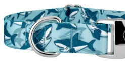 Country Brook Petz Premium Sharks Dog Collar 8 Country Brook Petz Premium Sharks Dog Collar -Country Brook Petz Store GUEST 881a39e6 c123 4af0 89d3 055097acf882