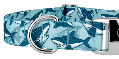 Country Brook Petz Premium Sharks Dog Collar 4 Country Brook Petz Premium Sharks Dog Collar - Image 4