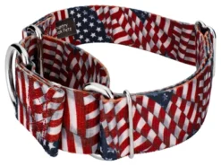 Country Brook Petz 1 1/2 Inch Patriotic Tribute Martingale Dog Collar 9 Country Brook Petz 1 1/2 Inch Patriotic Tribute Martingale Dog Collar -Country Brook Petz Store GUEST 88b5fa65 41d0 4095 a745 809940303cd2