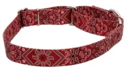 Country Brook Petz Red Bandana Martingale Dog Collar -Country Brook Petz Store GUEST 8c32293b acfd 4aa7 9e5f dd85e7c7ad28