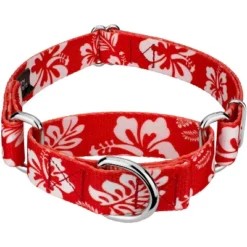 Country Brook Petz - Red Hawaiian Martingale Dog Collar 11 Country Brook Petz - Red Hawaiian Martingale Dog Collar -Country Brook Petz Store GUEST 8d81d231 244d 4c61 a52f ae27075f817a
