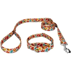 Country Brook Petz Brisk Autumn Martingale Dog Collar And Leash -Country Brook Petz Store GUEST 8e530a49 e028 43d8 b46e 2d8f22ba5510