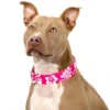 Country Brook Petz 1 1/2 Inch Pink Hawaiian Martingale Dog Collar