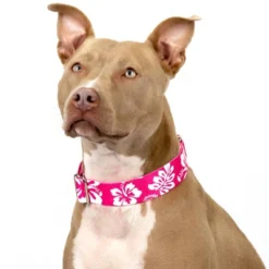Country Brook Petz 1 1/2 Inch Pink Hawaiian Martingale Dog Collar