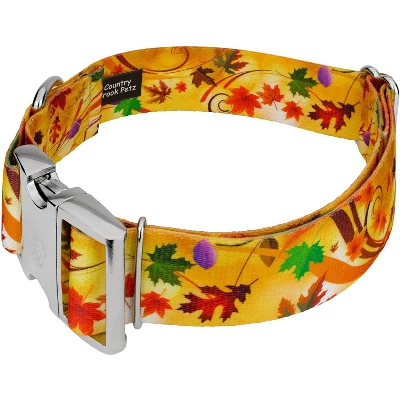 Country Brook Petz HossFit Jr Wide Premium Dog Collar - Awesome Autumn Collection 1 Country Brook Petz HossFit Jr Wide Premium Dog Collar - Awesome Autumn Collection