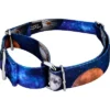 Country Brook Petz Galactic Neighbors Martingale Dog Collar 10 Country Brook Petz Galactic Neighbors Martingale Dog Collar -Country Brook Petz Store GUEST 91159761 0c92 45ef 82b8 e4d5bad76f9e
