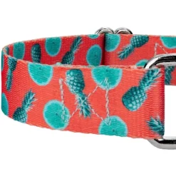 Country Brook Petz Tropical Tango Martingale Dog Collar 6 Country Brook Petz Tropical Tango Martingale Dog Collar -Country Brook Petz Store GUEST 9286ffcd 7c95 4230 b48e e9a665d62a04