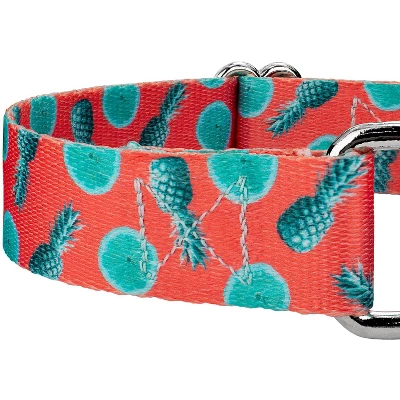 Country Brook Petz Tropical Tango Martingale Dog Collar 3 Country Brook Petz Tropical Tango Martingale Dog Collar - Image 3