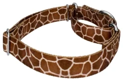 Country Brook Petz Giraffe Martingale Dog Collar -Country Brook Petz Store GUEST 95b3e6a2 00a9 4452 96a5 a31b5627a311