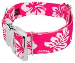 Country Brook Petz 1 1/2 Inch Premium Pink Hawaiian Dog Collar