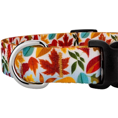 Country Brook Petz Deluxe Collar And Leash - Awesome Autumn Collection 3 Country Brook Petz Deluxe Collar And Leash - Awesome Autumn Collection - Image 3