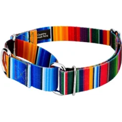 Country Brook Petz Serape Martingale Dog Collar