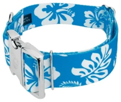 Country Brook Petz 1 1/2 Inch Premium Blue Hawaiian Dog Collar