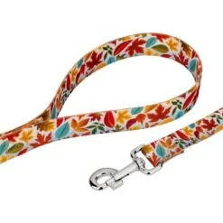Country Brook Petz Brisk Autumn Martingale Dog Collar And Leash -Country Brook Petz Store GUEST a67ee765 df1d 4a7c b595 286e42283782 4