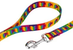Country Brook Petz® 5/8 Inch Rainbow Hearts Dog Leash - 6 Foot
