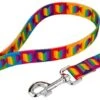 Country Brook Petz® 1 Inch Rainbow Hearts Dog Leash - 6 Foot