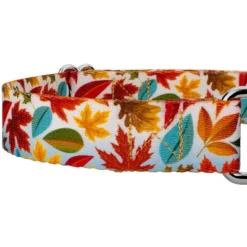 Country Brook Petz Brisk Autumn Martingale Dog Collar -Country Brook Petz Store GUEST a7de5d0b c58d 4f3e 9736 a73a24bcc770