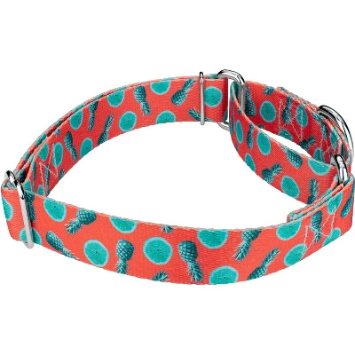 Country Brook Petz Tropical Tango Martingale Dog Collar 2 Country Brook Petz Tropical Tango Martingale Dog Collar - Image 2