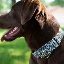 Country Brook Petz HossFit Jr Wide Martingale Dog Collar - Animal Print Collection