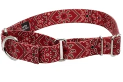 Country Brook Petz Red Bandana Martingale Dog Collar -Country Brook Petz Store GUEST aa791ece edc4 4b23 bd4f b07863998844