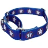 Country Brook Petz - American Stars Martingale Dog Collar