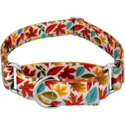 Country Brook Petz Brisk Autumn Martingale Dog Collar -Country Brook Petz Store GUEST ac36c348 71f4 4e73 afd1 0dcc3c002a7a
